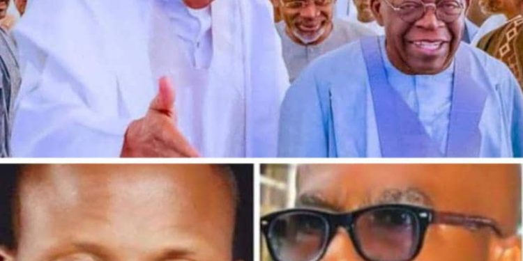 Nigerians Fared Better Under Buhari, Subsidy Removal, Devaluation Were Suicidal Routes, Experts Assert