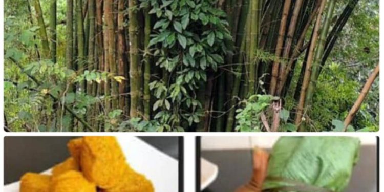 Rescheduled Seminar on How to Tap Wine From Bamboo now Holds on Tuesday in FUNAAB